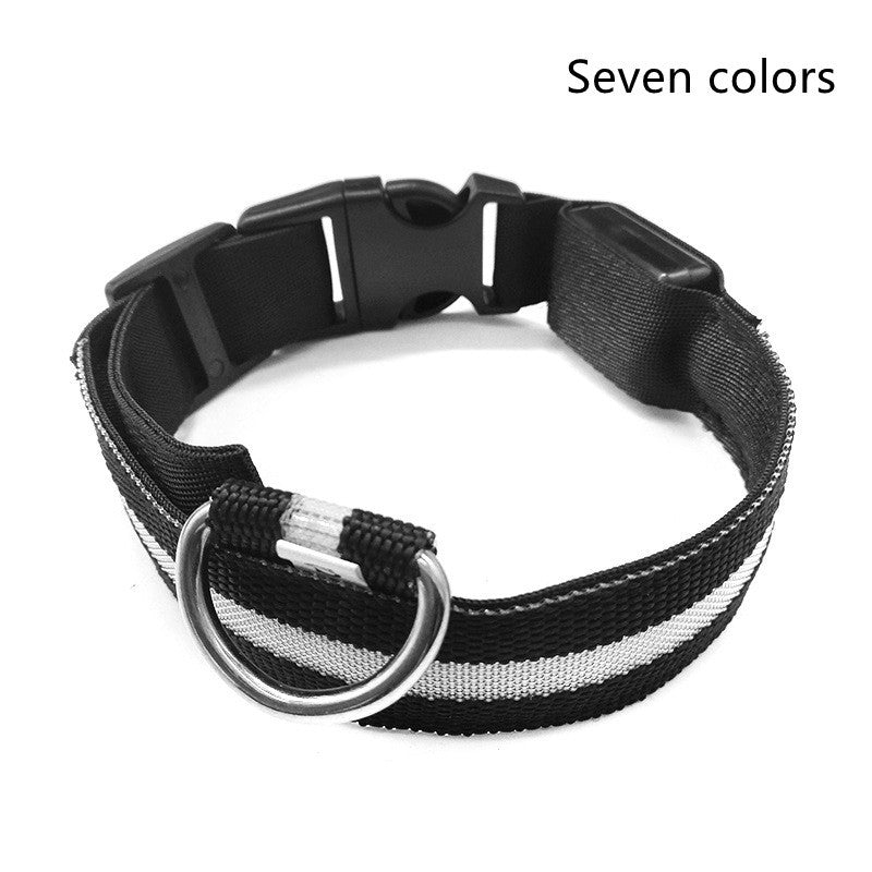 Flashing Nylon LED Dog Collar for Night Safety