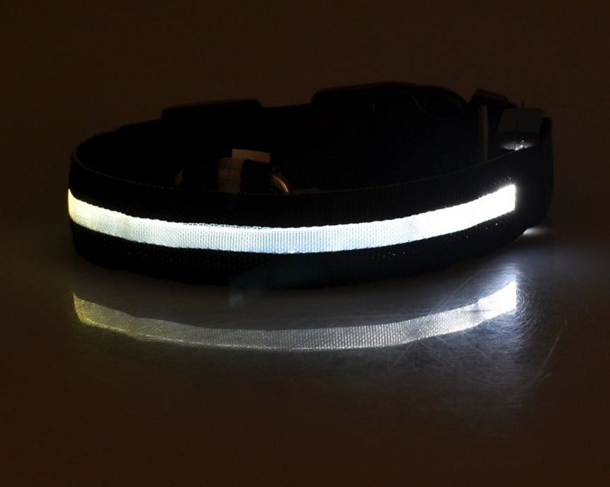 Flashing Nylon LED Dog Collar for Night Safety