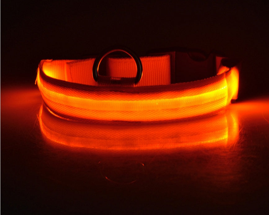 Flashing Nylon LED Dog Collar for Night Safety
