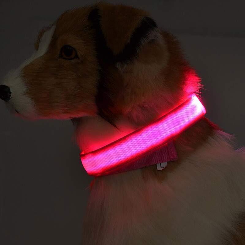Flashing Nylon LED Dog Collar for Night Safety