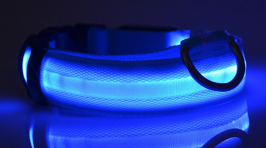 Flashing Nylon LED Dog Collar for Night Safety