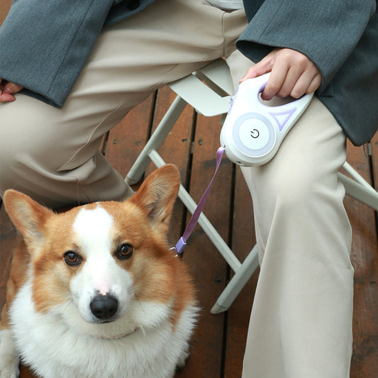 Retractable Dog Leash And Dog Collar