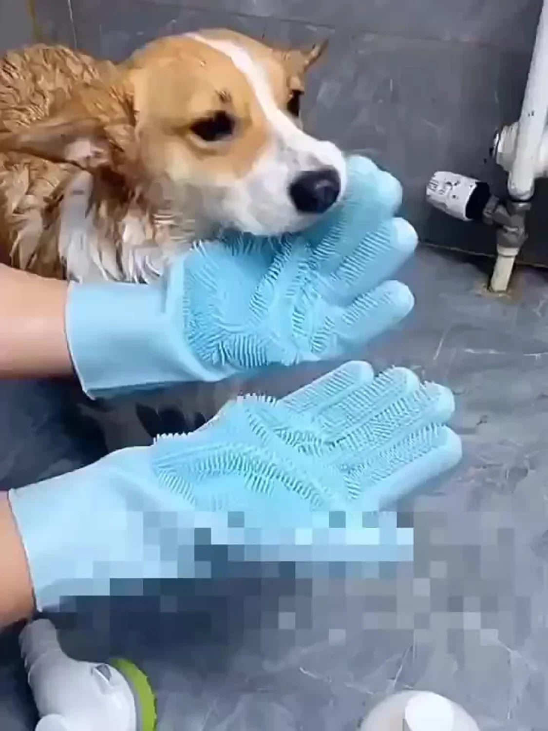 Pet Grooming Gloves For Dogs and Cats