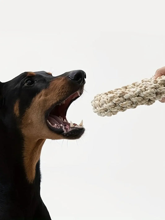Dog Durable Chew Rope Toy