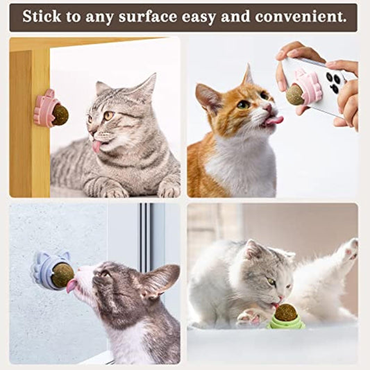 Catnip Balls That Stick On Wall