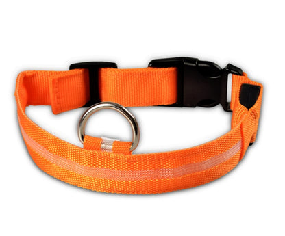 Flashing Nylon LED Dog Collar for Night Safety