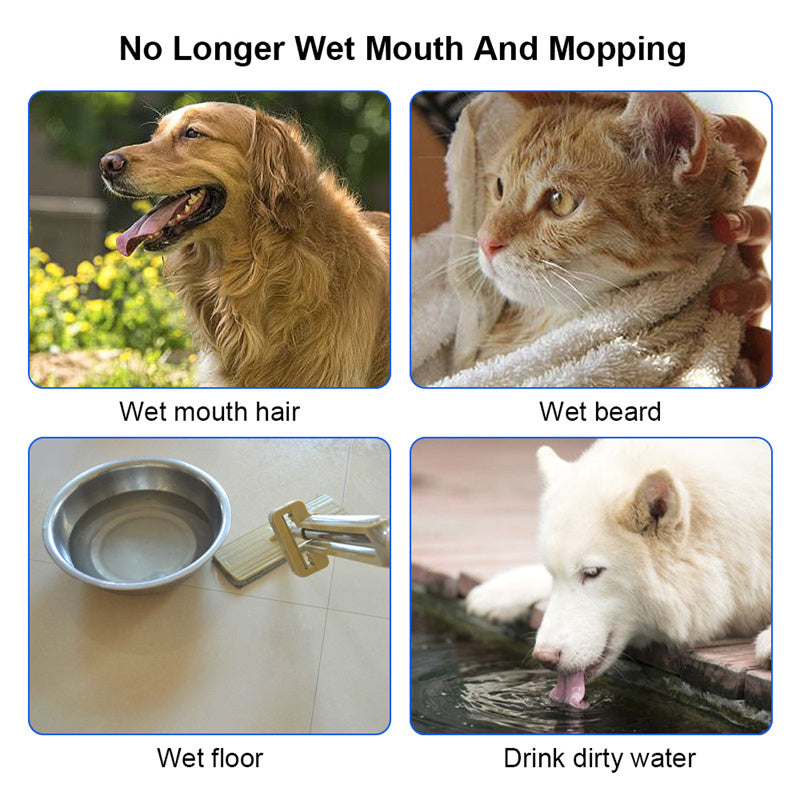 1.5L Cat and Dog Water Bowl, Anti-Overflow, and  Slow Water Pet Fountain
