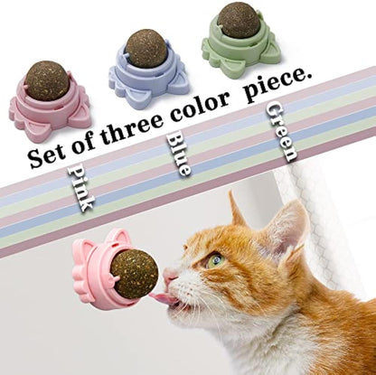 Catnip Balls That Stick On Wall