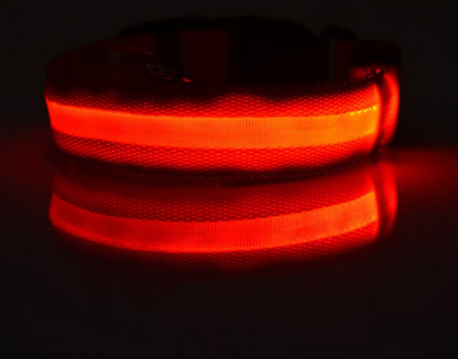 Flashing Nylon LED Dog Collar for Night Safety