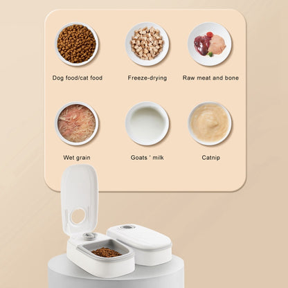 Smart Food Dispenser For Cats Dogs with a Stainless Steel Bowl