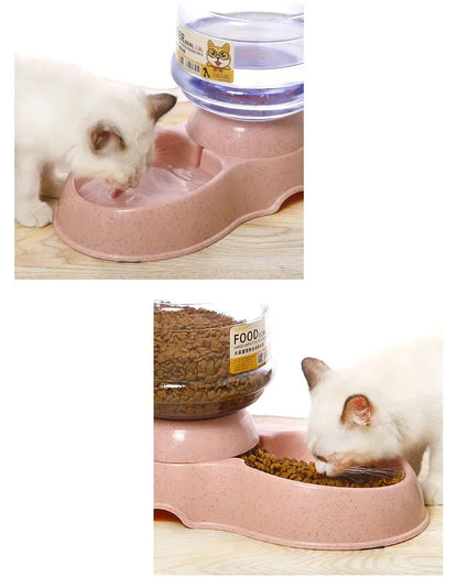 Automatic Pet Feeder