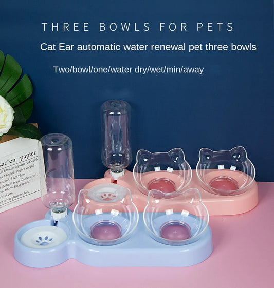 Pet Elevated Bowls for Cats and Dogs