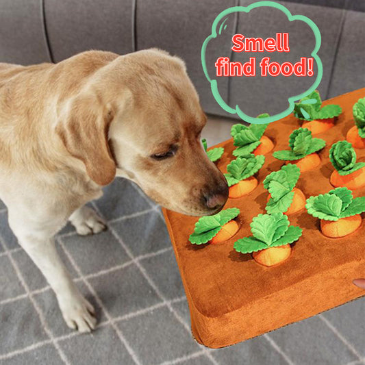 Dog Accessories - Carrot Plush Pet Toy